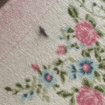 Vatan Bilgisayar Ve Dreame Mağduriyet Yaşama