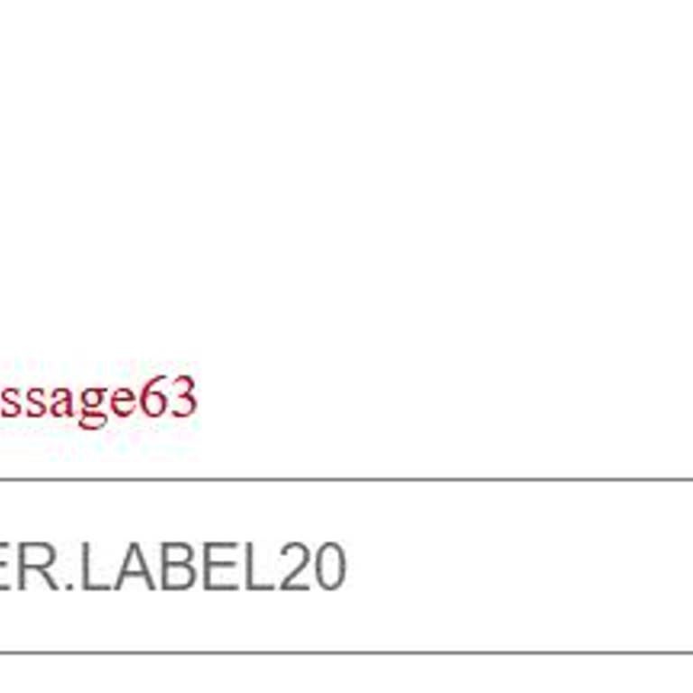 VFS Global Sitesinde 'Label 28' Hatası Nedeniyle Randevu Alamıyorum
