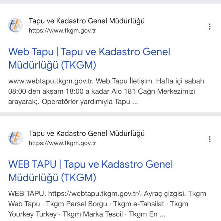 Web Tapu Sistemine Erişim Sorunu Ve Bilgilendirme Talebi