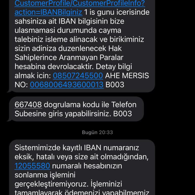 BES İptali Ve IBAN Kaydı Sorunu Nedeniyle Zaman Kaybı Yaşıyorum
