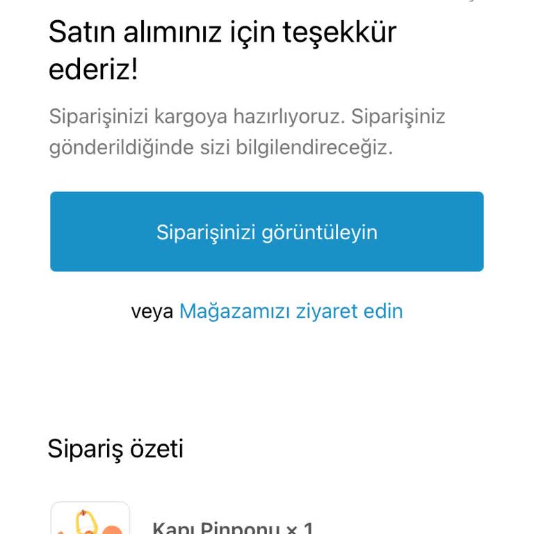 Tiny Toy 2 Aydır Siparişim Gelmedi