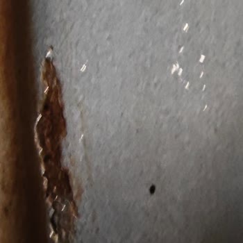 Fırında Paslanma Ve Boya Atması Üretim Hatası Şüphesi