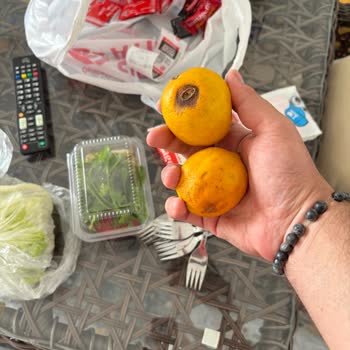 Siparişimde Çürümüş Limon Gönderildi, Denetim İstiyorum