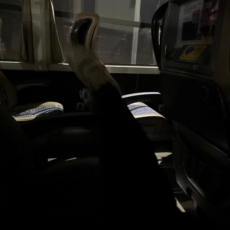 Kamil Koç Araç Arızalandı Bekliyoruz!