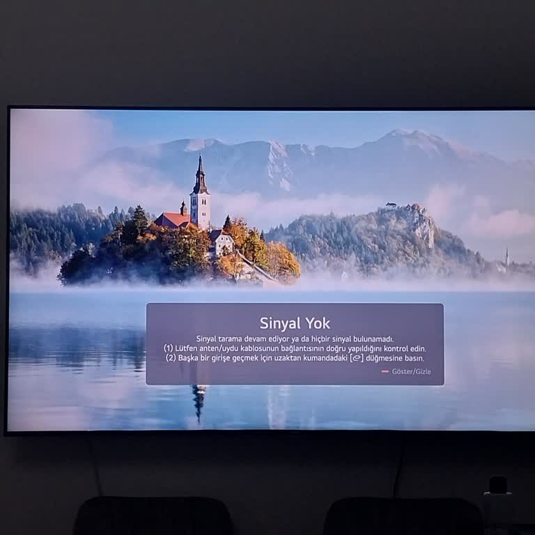 Sunny 65 İnç Televizyon Sinyal Yok Hatası Ve Kullanılamama Sorunu