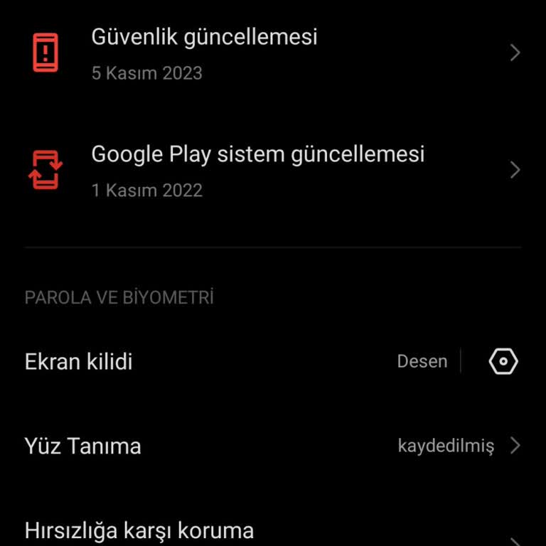 Parmak İzi Özelliği Kayboldu, Çözüm Bekliyorum