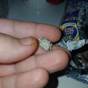 Çerezya Çekirdek Paketinden Çıkan Diken Ağzımı Yaraladı