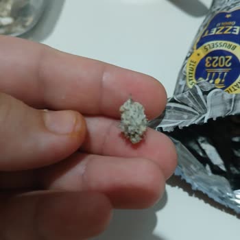 Çerezya Çekirdek Paketinden Çıkan Diken Ağzımı Yaraladı