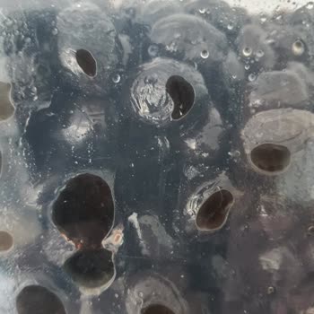 Migros Küflü Ürün Ve Yetersiz Müşteri Hizmeti Hayal Kırıklığı