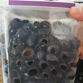 Migros Küflü Ürün Ve Yetersiz Müşteri Hizmeti Hayal Kırıklığı