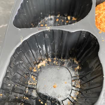 Kurabiyenin İçinden Un Kurdu Çıkmasıyla Yaşadığım Şok