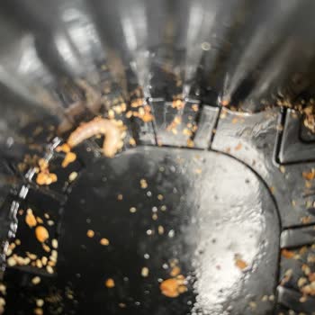 Kurabiyenin İçinden Un Kurdu Çıkmasıyla Yaşadığım Şok