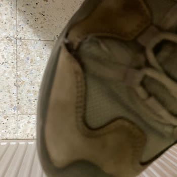 Vogel Botum Kısa Sürede Yırtıldı Ve Açılmalar Oluştu