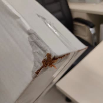 Gönderilen Çiçek Görselden Farklı Ve Solmuş Geldi