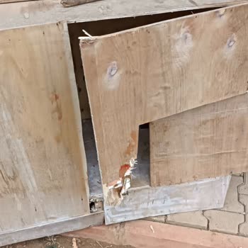 Tuzla Belediyesi'nin Sokak Köpekleri Sorununa Yetersiz Müdahalesi Ve Güvenlik Endişeleri