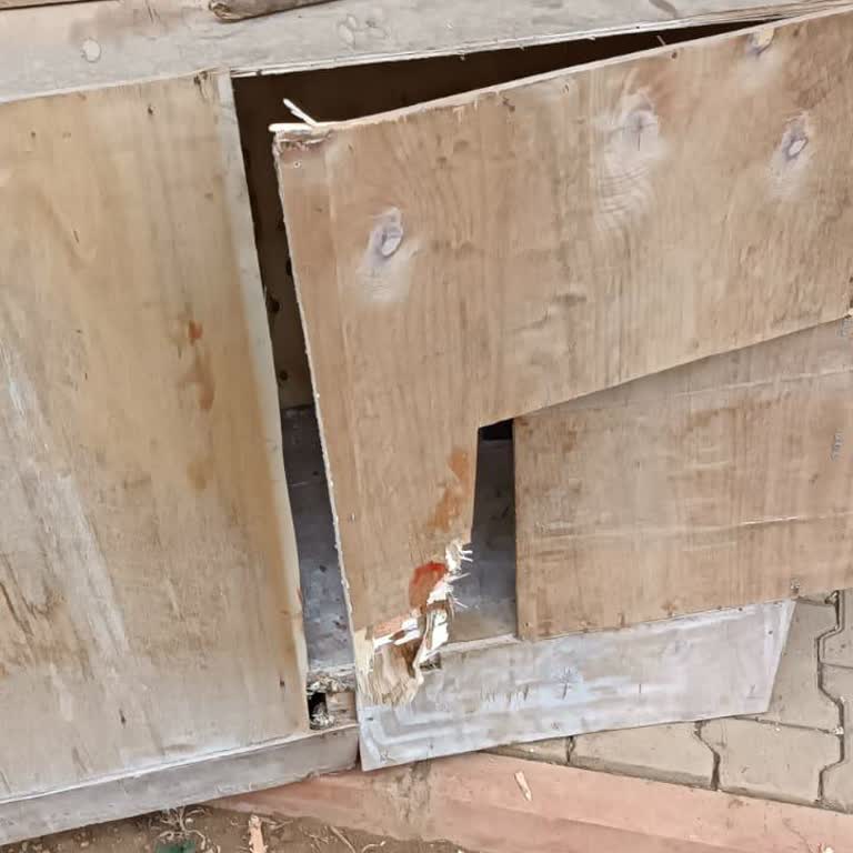 Tuzla Belediyesi'nin Sokak Köpekleri Sorununa Yetersiz Müdahalesi Ve Güvenlik Endişeleri