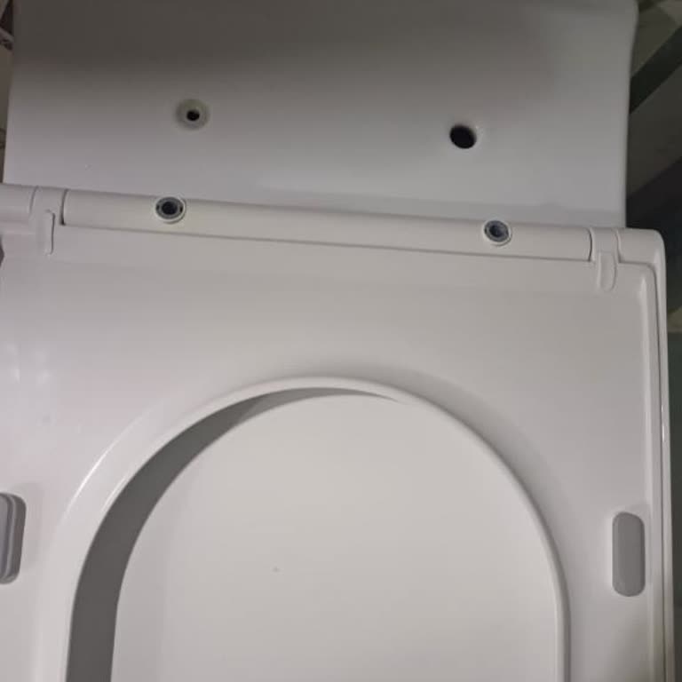 Bien Klozet Kapağı Menteşesi Kırıldı Yedek Parça Bulamıyorum