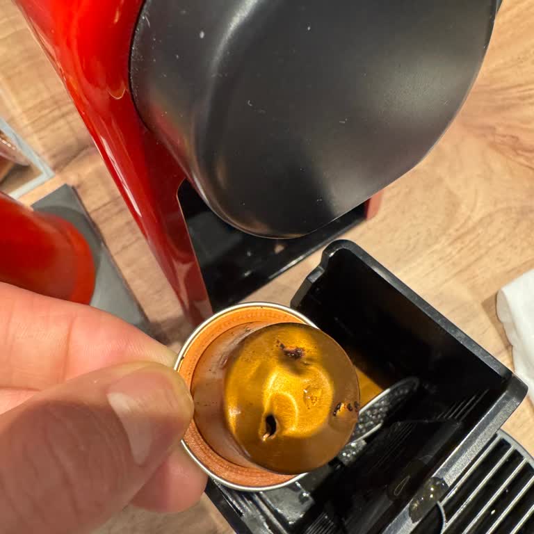 The Whirl Kapsül Zor Deliniyor