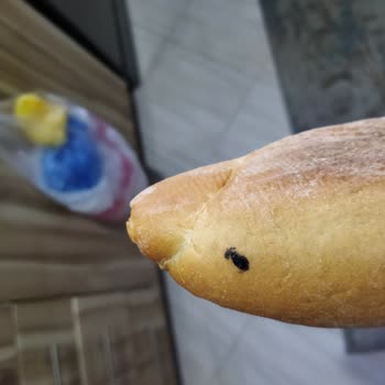 Halk Ekmek'te Hamurun İçinde Böcek Şoku
