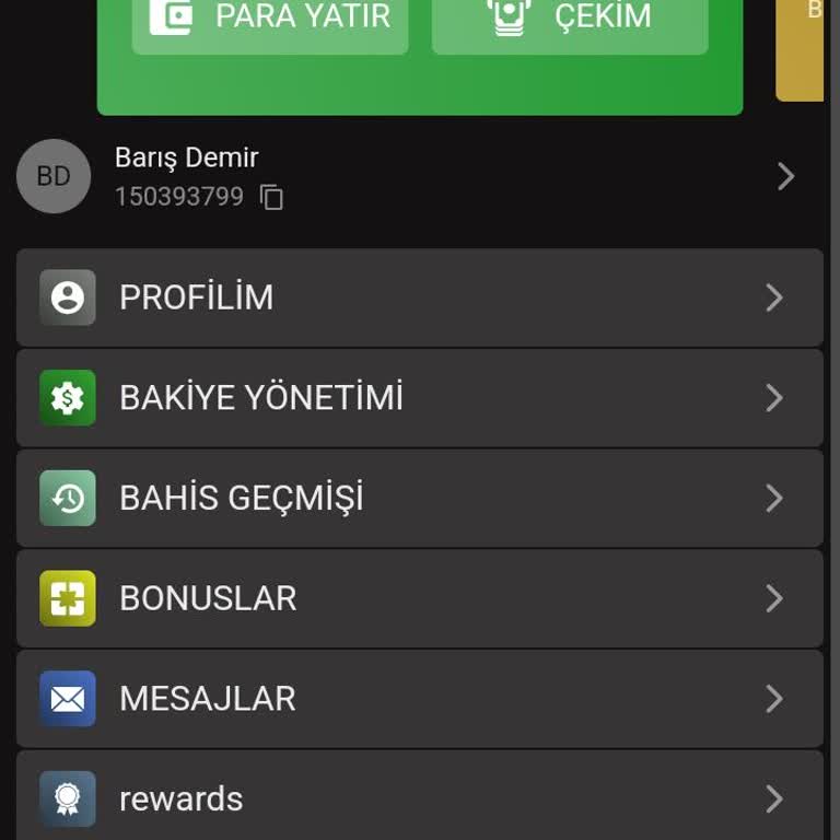 Rinabet Bir Yıllık Hesabımdaki 33 Bin Lira Aniden Silindi