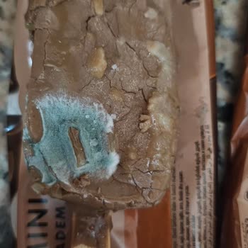 Küflü Ve Bayat Dondurma Çocuklarımın Sağlığını Riske Attı