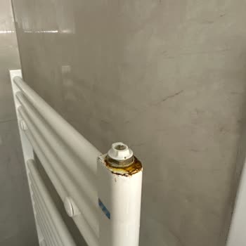 ECA Havlupan'da Küflenme Ve Boya Atması Sorunu, Servis Destek Vermiyor
