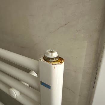 ECA Havlupan'da Küflenme Ve Boya Atması Sorunu, Servis Destek Vermiyor
