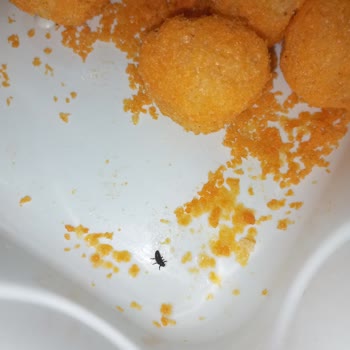 Cips Paketinden Böcek Çıkmasıyla Hayal Kırıklığı