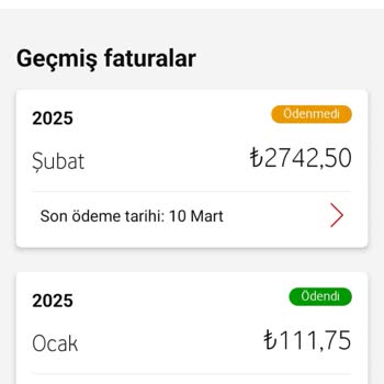 Onayım Olmadan Yapılan Abonelikler Ve Yüksek Fatura Sorunu
