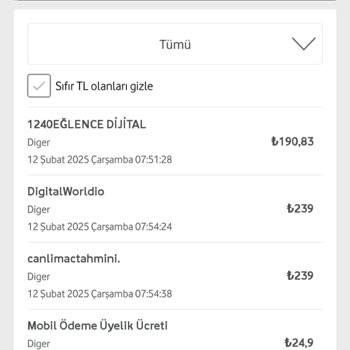 Onayım Olmadan Yapılan Abonelikler Ve Yüksek Fatura Sorunu