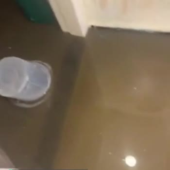 İstanbul Büyükşehir Belediyesi Su Baskını Ve Koku