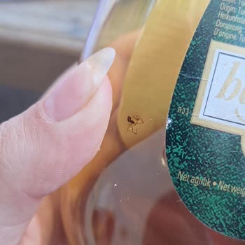 Satın Aldığım Üründen Örümcek Çıktı Hijyen Konusunda Endişeliyim