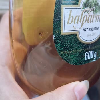 Satın Aldığım Üründen Örümcek Çıktı Hijyen Konusunda Endişeliyim