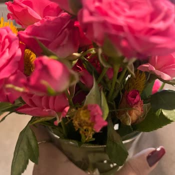 Solmuş Güller Ve İlgisiz Müşteri Hizmetleriyle Hayal Kırıklığı