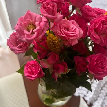 Solmuş Güller Ve İlgisiz Müşteri Hizmetleriyle Hayal Kırıklığı