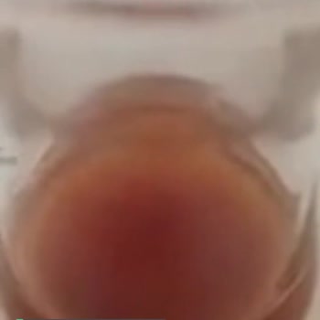 Şafak Kristal Şeker Topraklı!