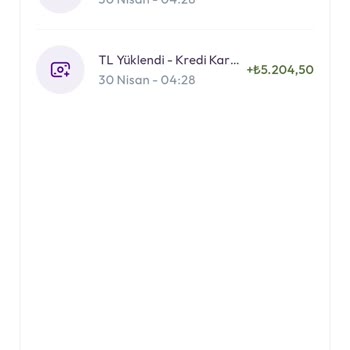 Param Uygulamasında Para Yatırdıktan Sonra Hesabıma Erişemiyorum