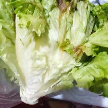 Eryaman Migros'ta Sürekli Bozuk Gıda Sorunu Ve Yetersiz Denetim