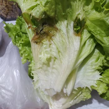 Eryaman Migros'ta Sürekli Bozuk Gıda Sorunu Ve Yetersiz Denetim