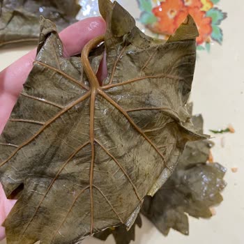 Ürün Kalitesi Ve Kargo Ücreti Hakkında Hayal Kırıklığı