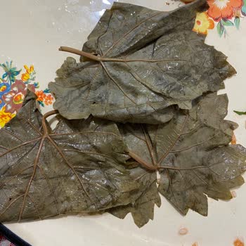 Ürün Kalitesi Ve Kargo Ücreti Hakkında Hayal Kırıklığı