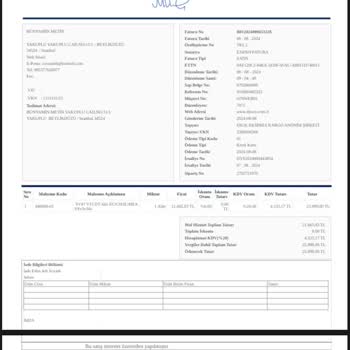 Dyson V15 Süpürge Halı Başlığı Parçası 8 Aydır Temin Edilemiyor