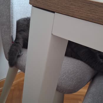 Mobilya Takımında Sürekli Sorun Ve Yetersiz Servis Desteği