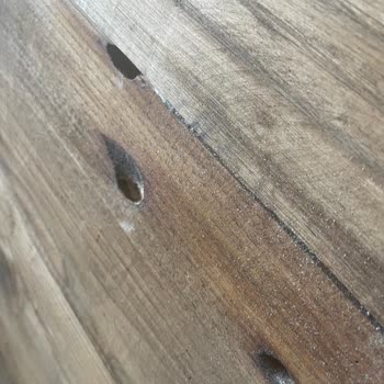 The Holz.tr İle Sorun Yaşama