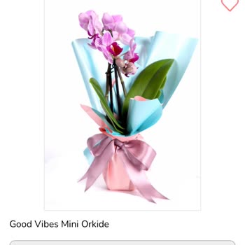 Görseldeki Ürünle Gelen Çiçeğin Farklı Olması Ve Yetersiz Müşteri Hizmeti