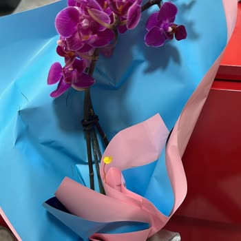 Görseldeki Ürünle Gelen Çiçeğin Farklı Olması Ve Yetersiz Müşteri Hizmeti