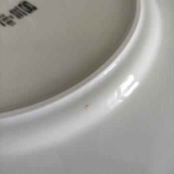 Bosch Bulaşık Makinesinde 15 Günde Paslanma Sorunu Yaşadım