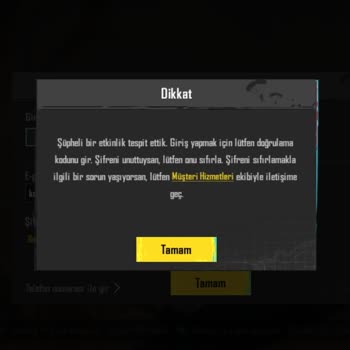 Oyun Dinar Satın Alınan Hesaplarda Sorunlar Ve Yetersiz Müşteri Desteği