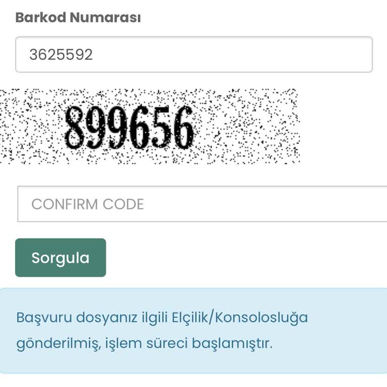 Vize Başvurusunda 5 Aydır Sonuç Alamıyorum, Hızlandırılmış İşlem De Çözüm Sunmadı