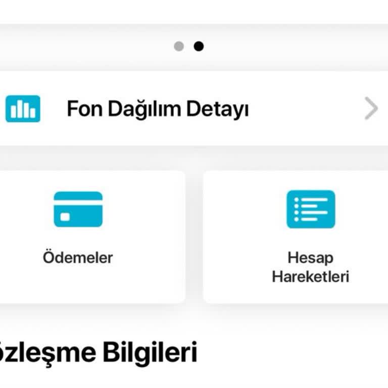 Mobil Uygulamada Fon Değişikliği Yapılamıyor, Müşteri Temsilcisi İlgisiz